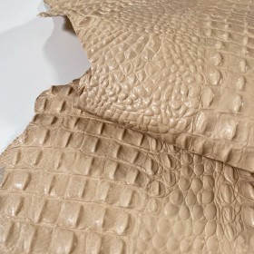 cocodrilo exotico