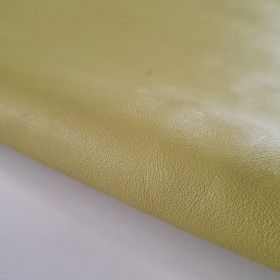 green aniline leather hide