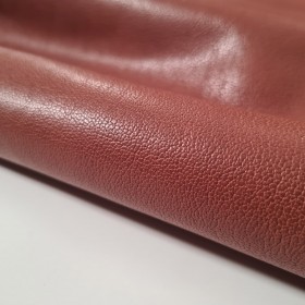 vacuno marron avellana