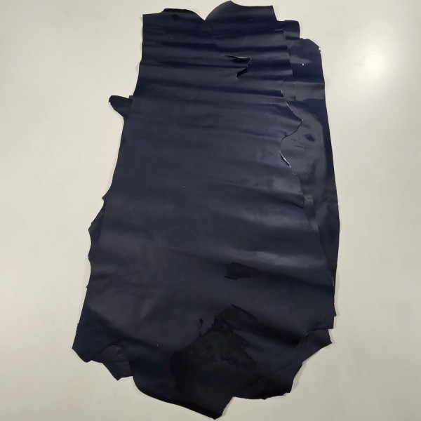 BLUE VERNICE  445