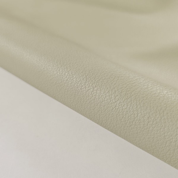 NACAR LEATHER 5481