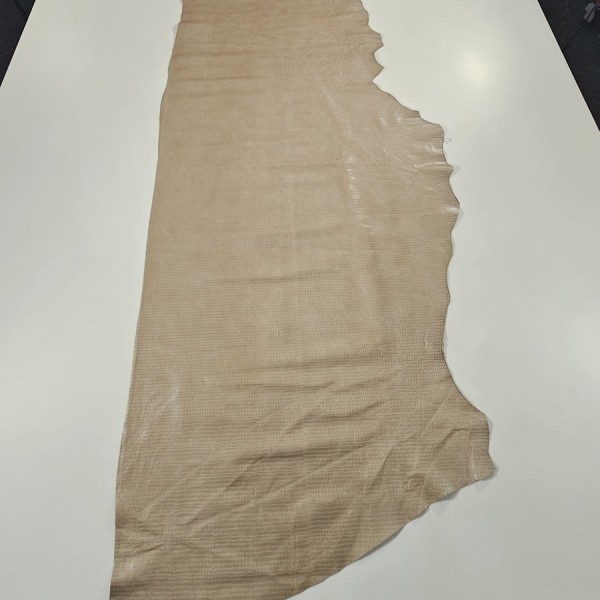 PIEL COCODRILO  281