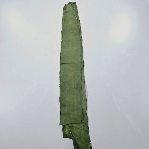 CARUNGA SNAKE   164