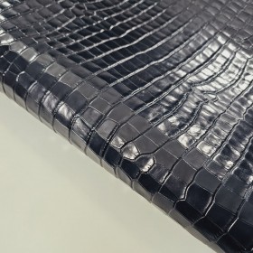 dark blue crocodile