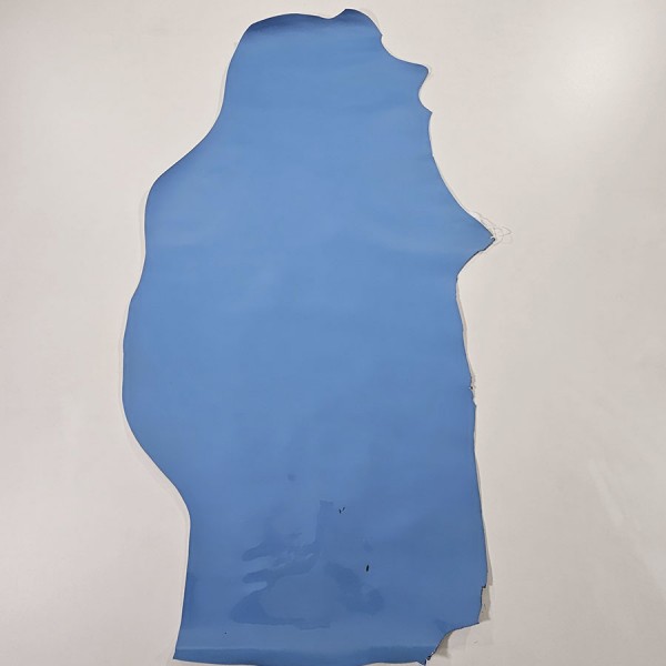 VERNICE LEATHER  41