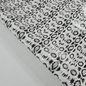 Serpiente Blanco y Negro