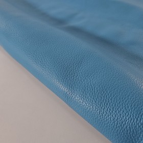 blue leatherside