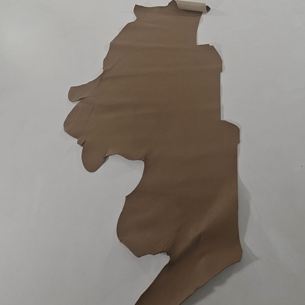 ANILINE LEATHER 2728