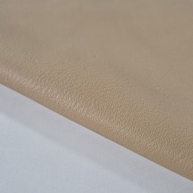 toast aniline leather