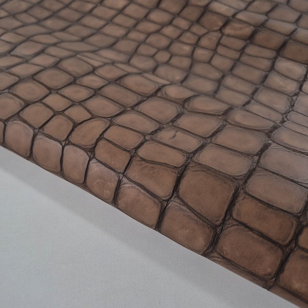 CROCODILE LEATHER 2809
