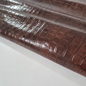 GRABADO COCODRILO  1603