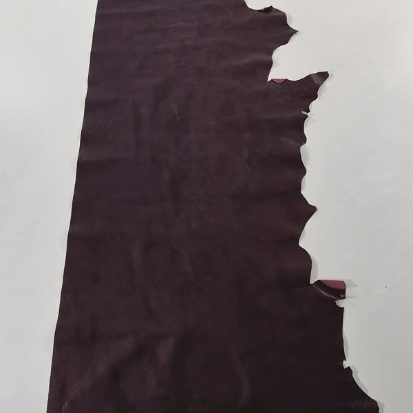 DREAM BORDO 1306