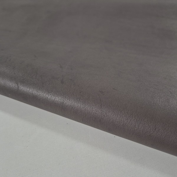 VACUNO TOPO  2855