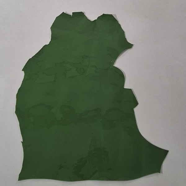 CHAROL VERDE   79