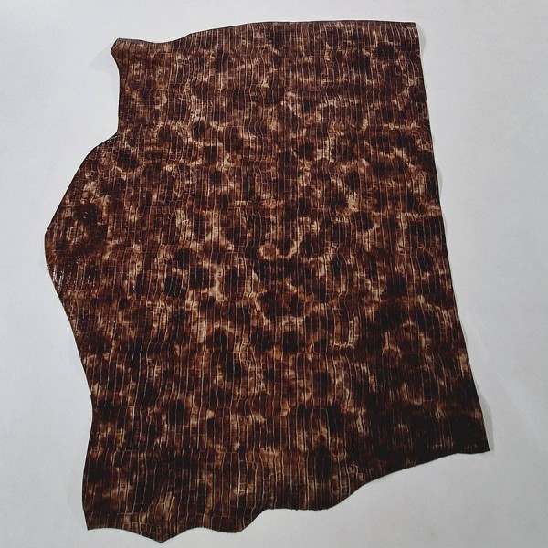 CROCODILE LEATHER 2910
