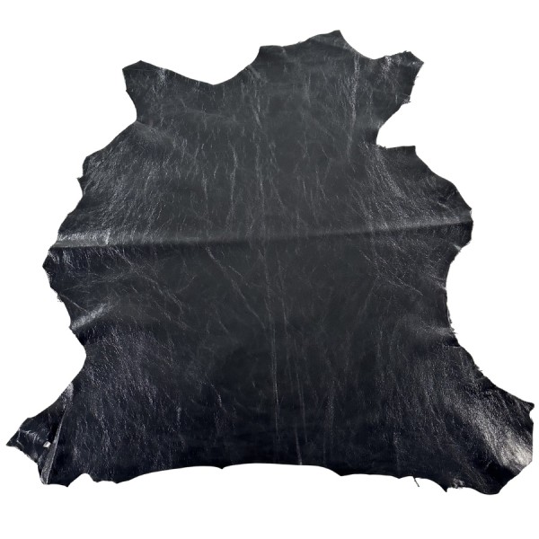 CORDERO NEGRO BRILLO 5663
