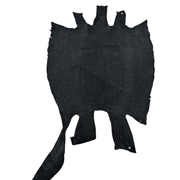 REAL IGUANA SKIN 5847