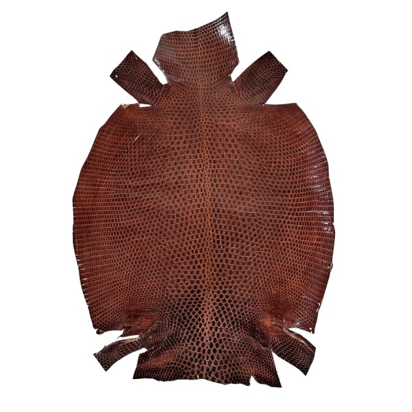 REAL IGUANA SKIN 5848