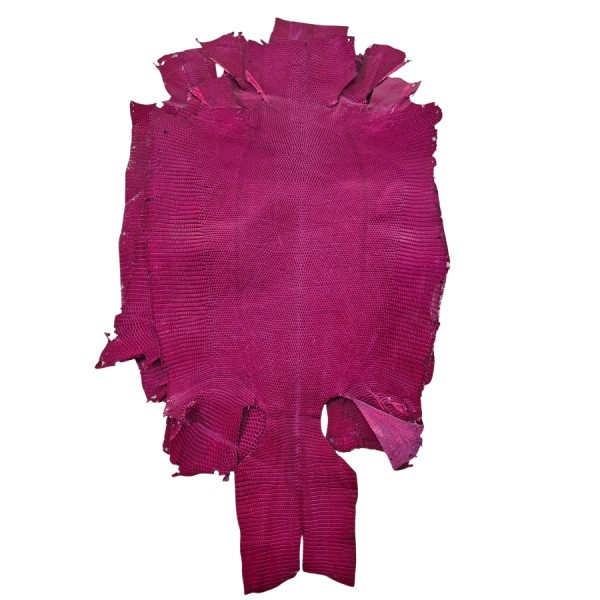 REAL IGUANA SKIN 5842