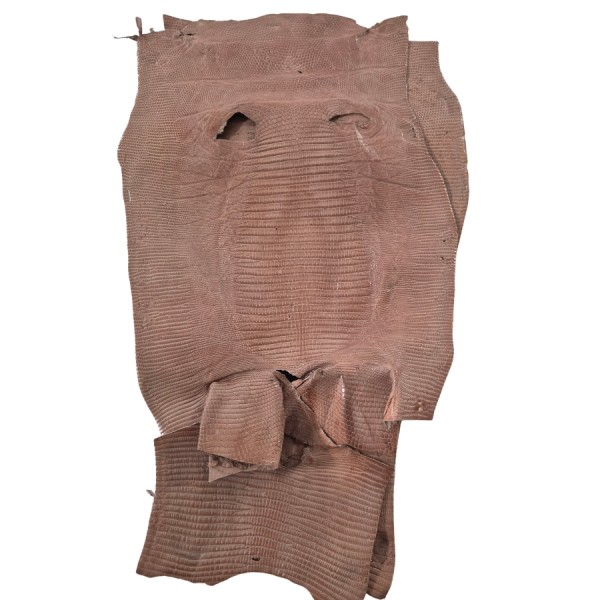 REAL IGUANA SKIN 5849