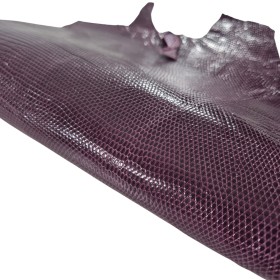 Original Iguana Skin - Curtidos Sevillano