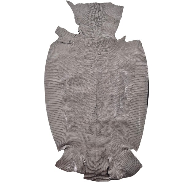 REAL IGUANA SKIN 5852