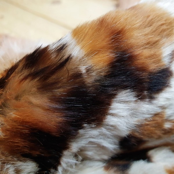 HAIR PLATE 2060